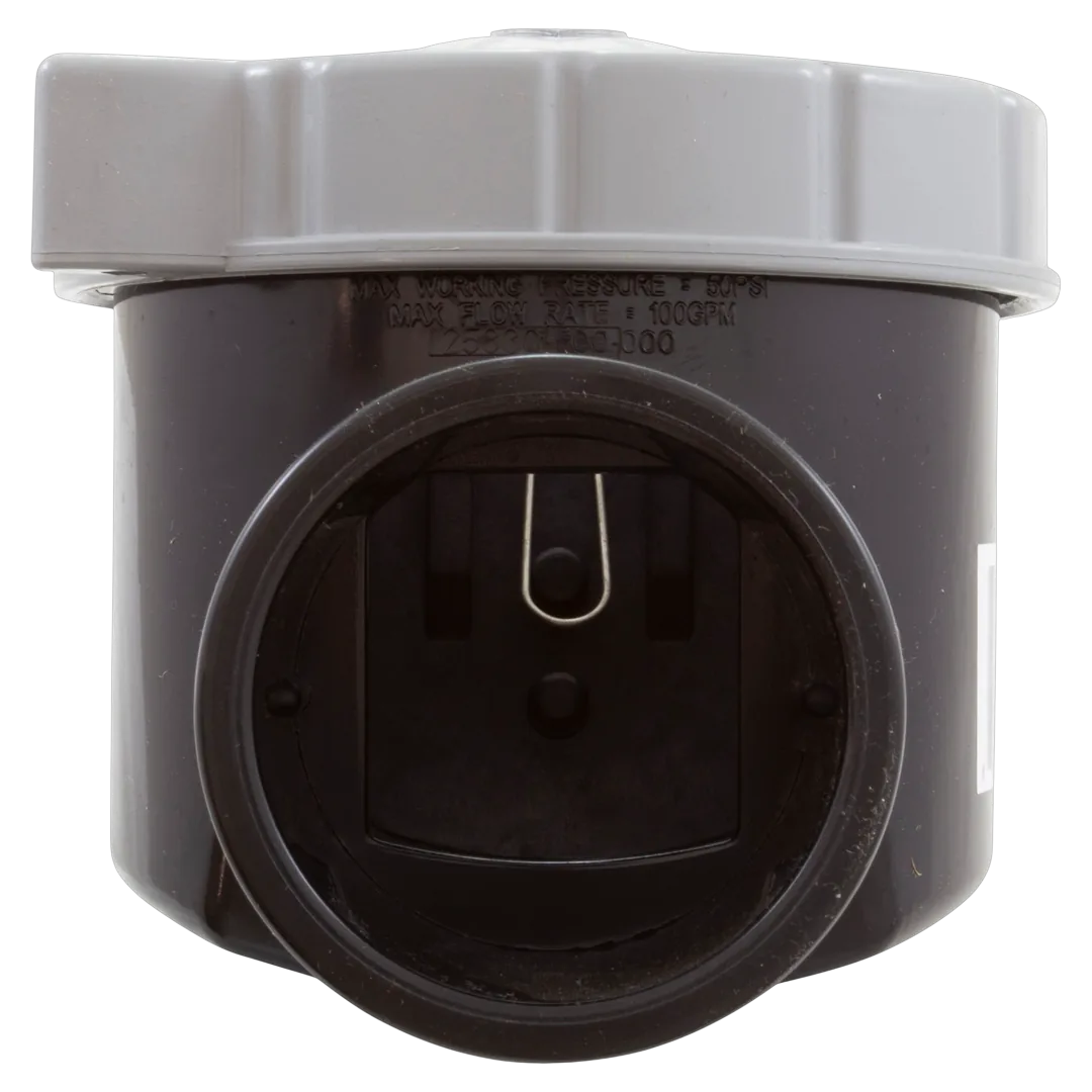 CMP 25830-500-000 Serviceable Check Valve 1/4 lb 2 in S x 2.5 in SPG - Back