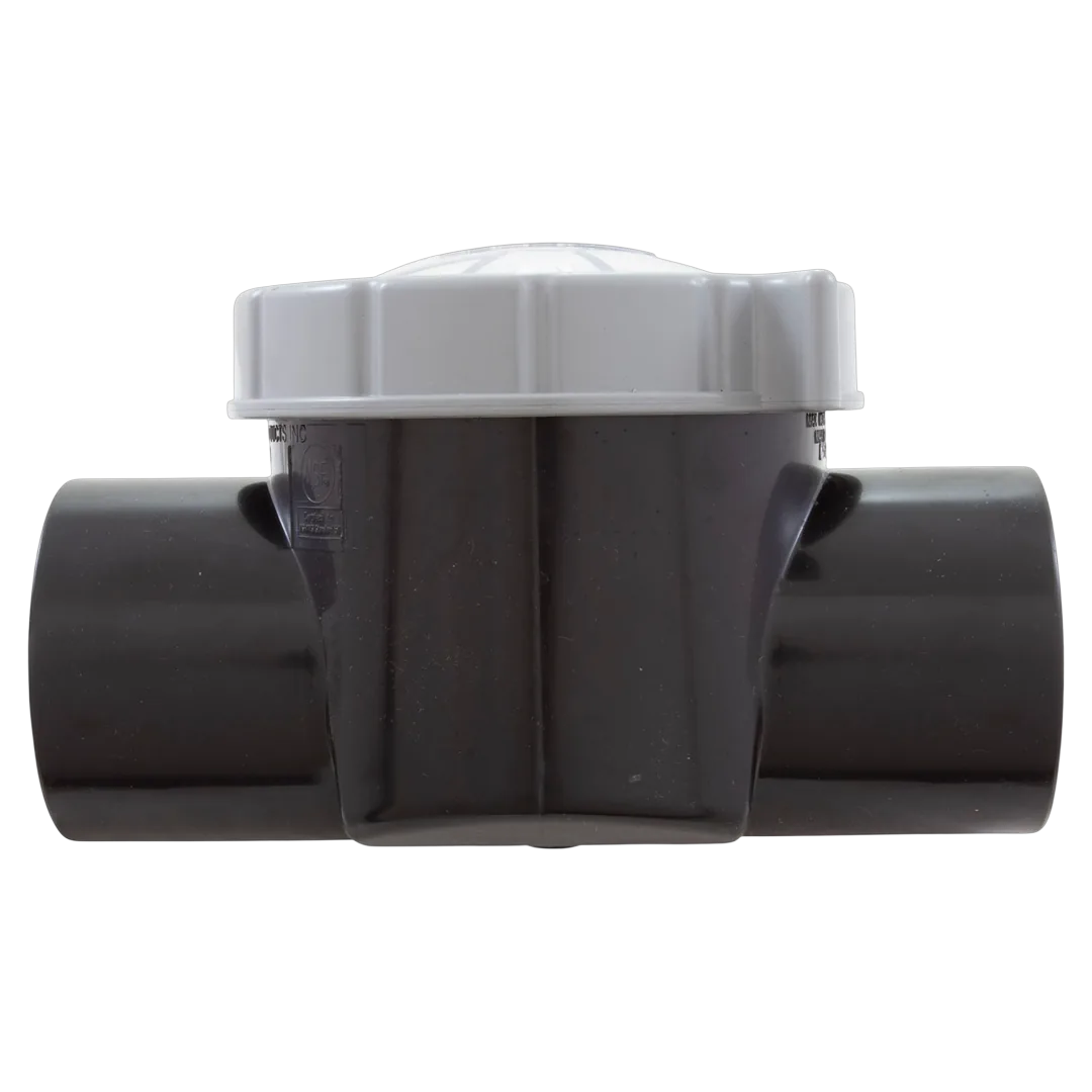 CMP 25830-500-000 Serviceable Check Valve 1/4 lb 2 in S x 2.5 in SPG - Side