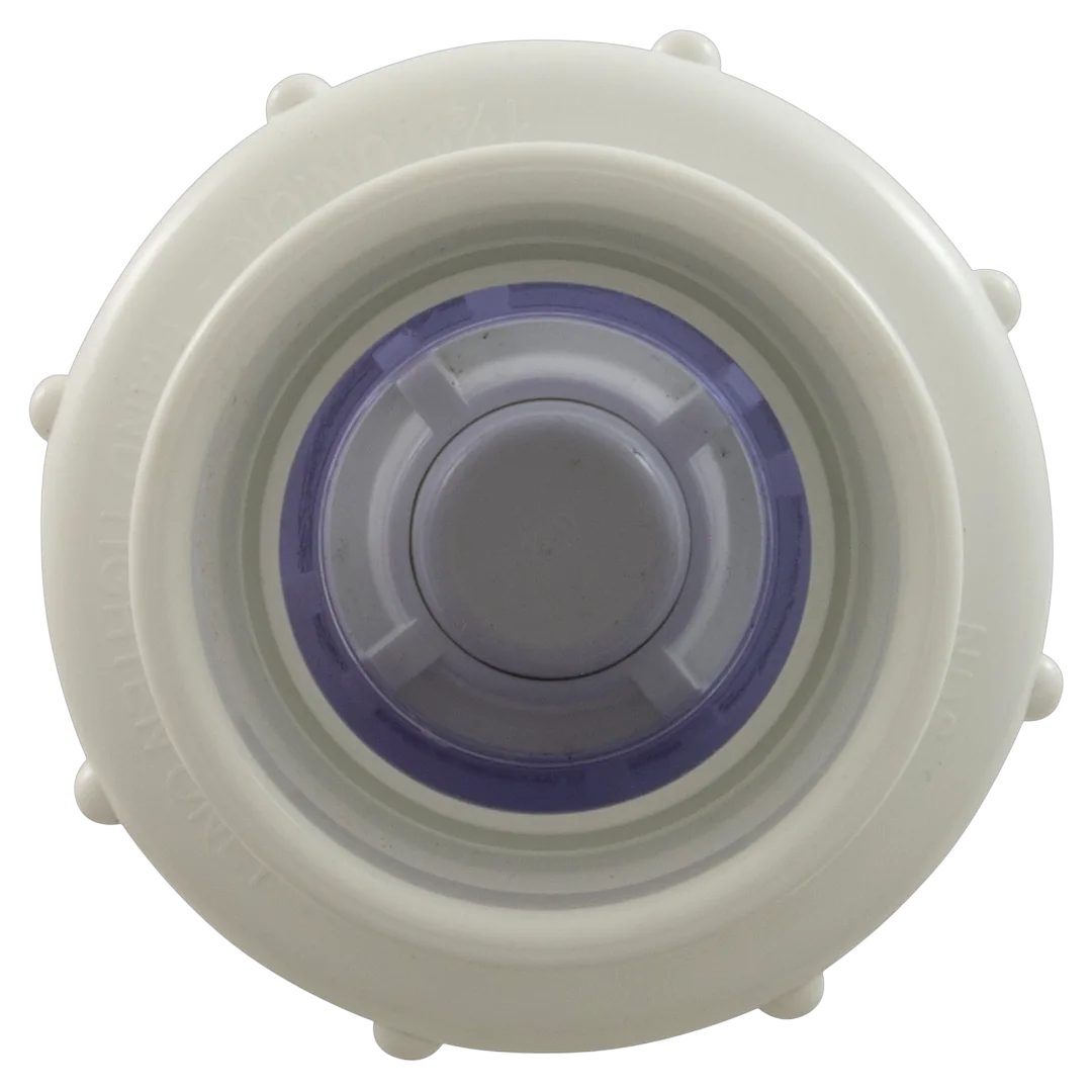 Flo Control 1700C15 True Union Spring Check Valve 1-1/2 in Clear - Alt (4)