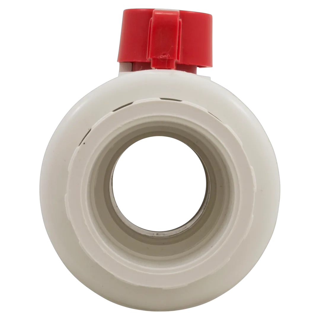 Hayward QTA1020CSEW True Union Ball Valve - Back