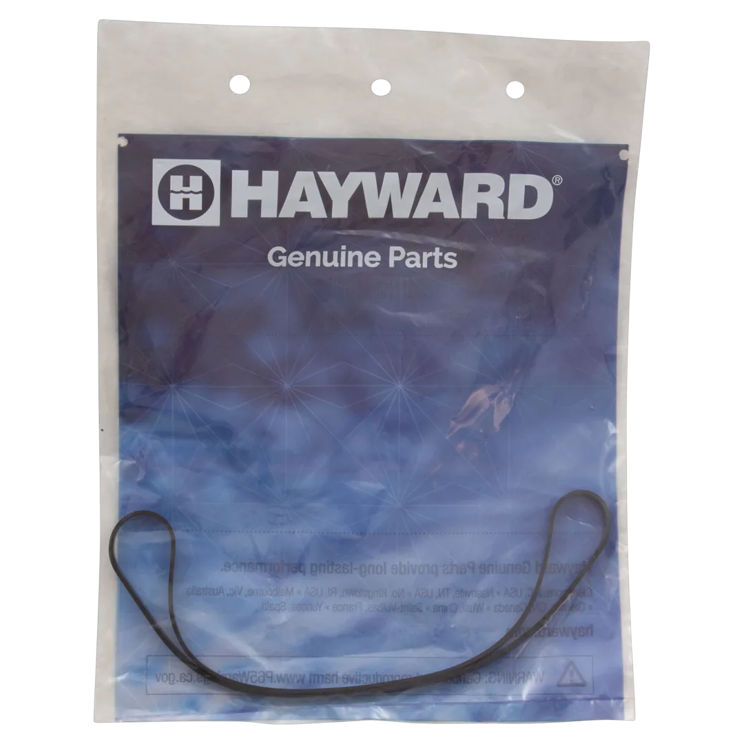 Hayward SPX1600T Housing Gasket - Package
