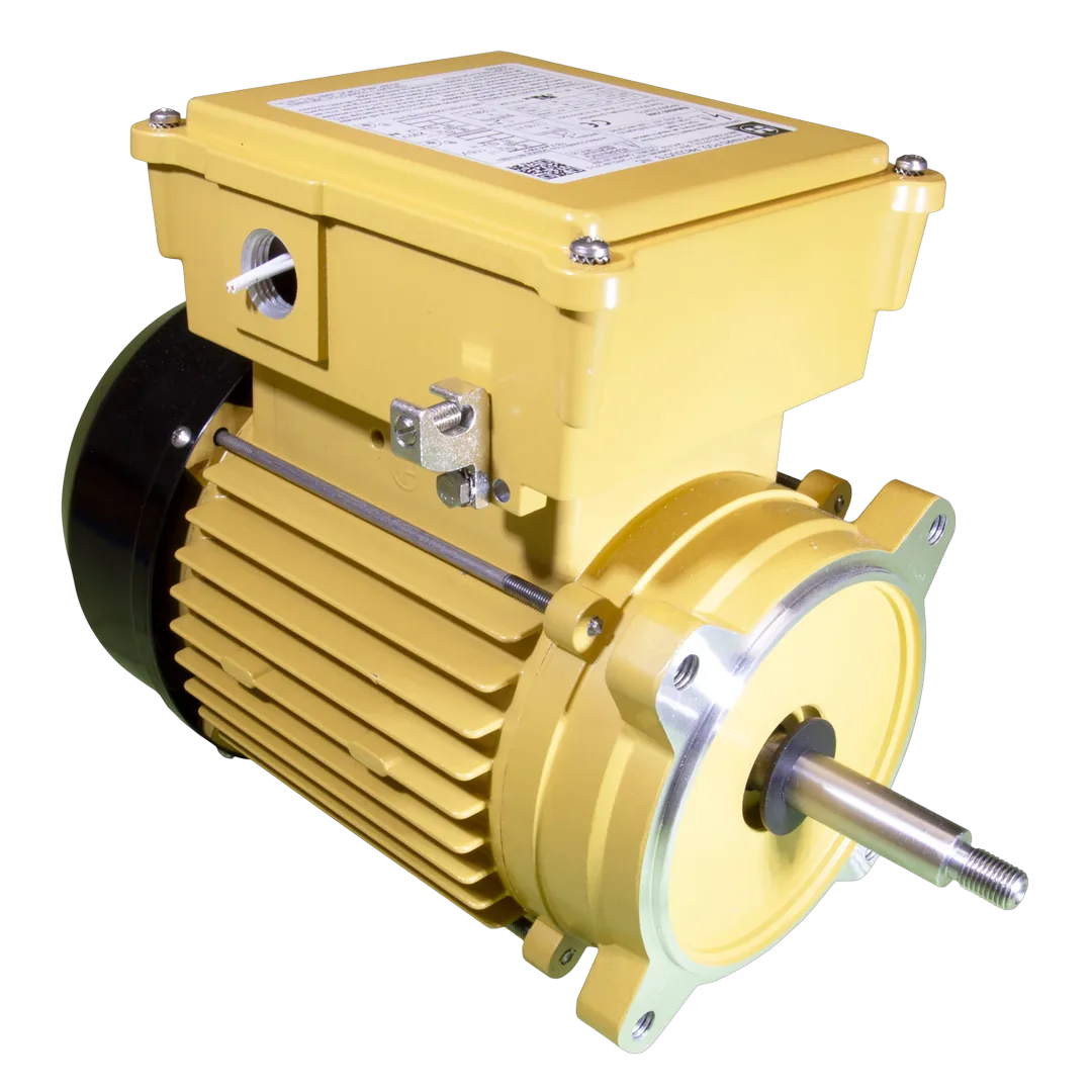 Hayward SPX2607Z1MTG 1HP Pool Motor