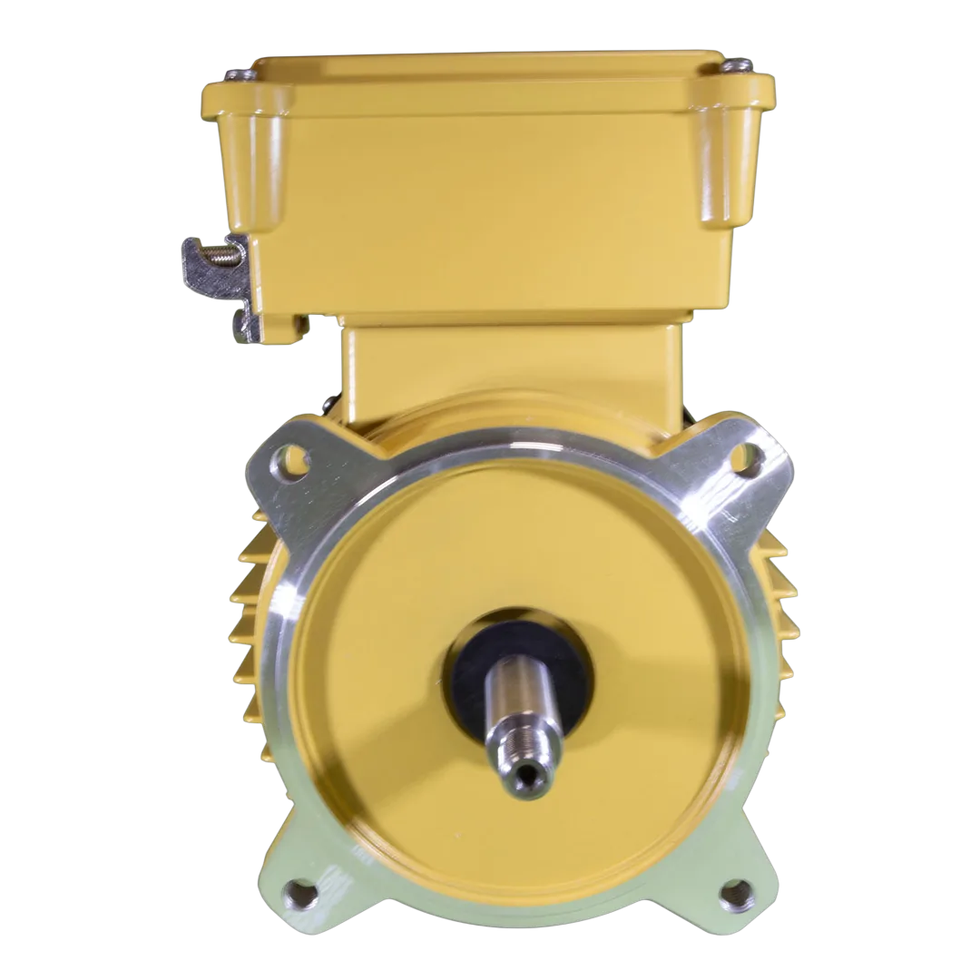 Hayward SPX2607Z1MTG Replacement Motor - Front