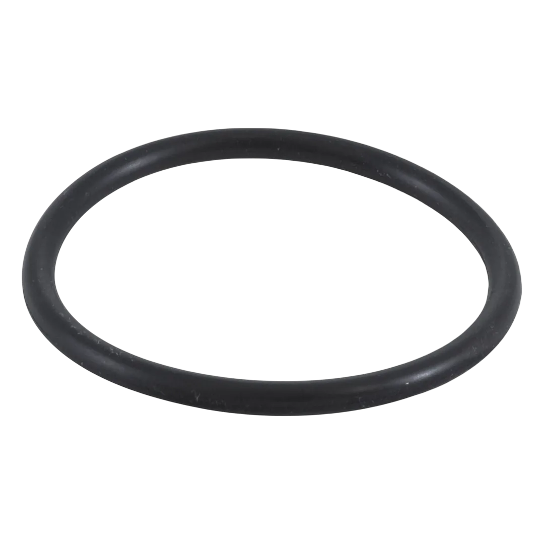 Zodiac Jandy R0358400 Inlet Elbow with O-Ring for pool and spa filters