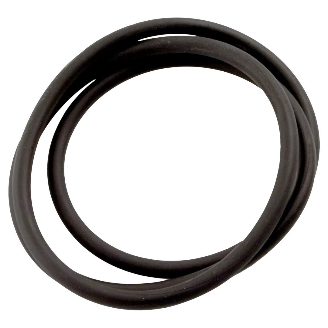 Jandy CS Series Tank Lid O-Ring R0462700
