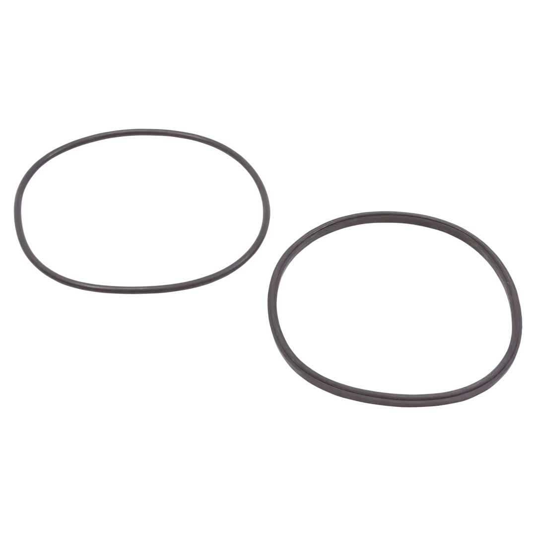 Jandy R0446200 Lid O-Ring & Seal Kit
