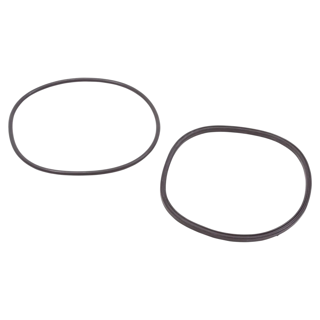 Jandy R0446200 Lid Seal and O-Ring Kit - Reverse