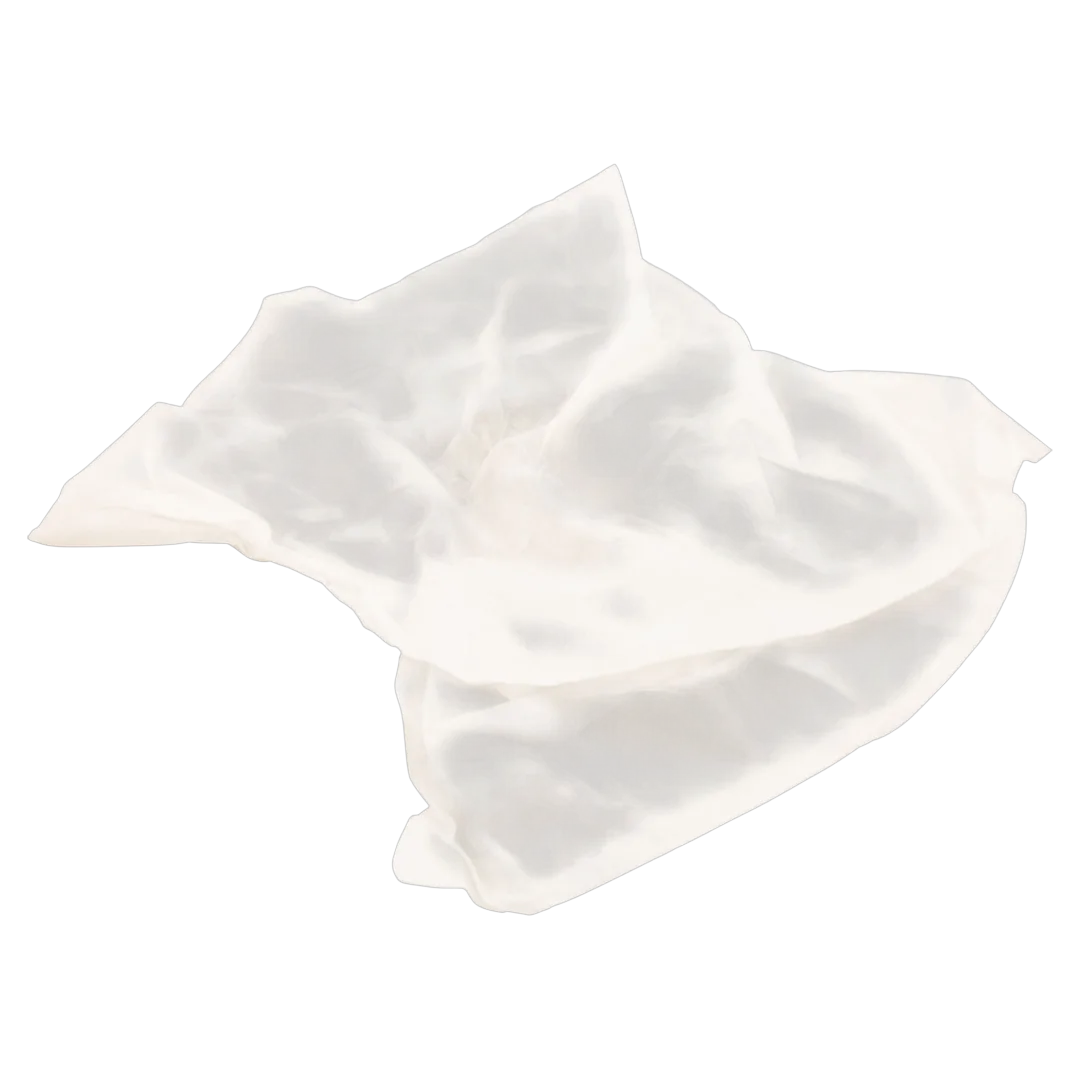 Maytronics 9991440-ASSY Dolphin Disposable Filter Bag - Reverse