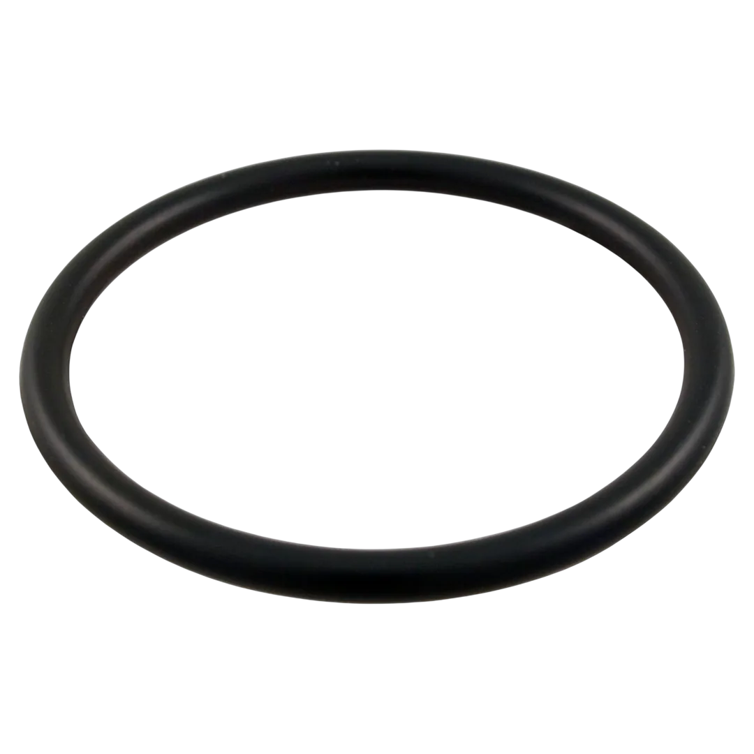 Pentair 154492 2-inch bulkhead O-ring