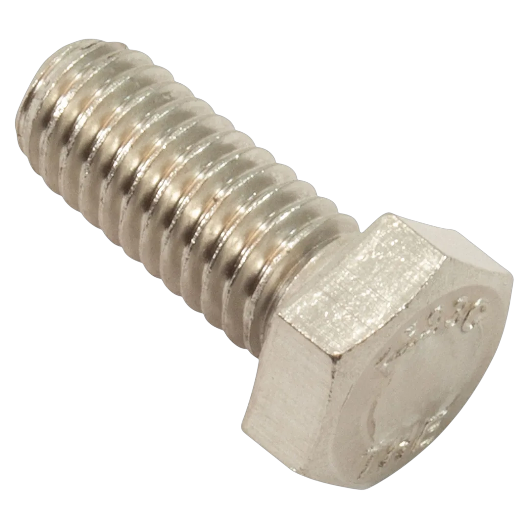 Pentair 070429Z stainless steel seal plate bolt