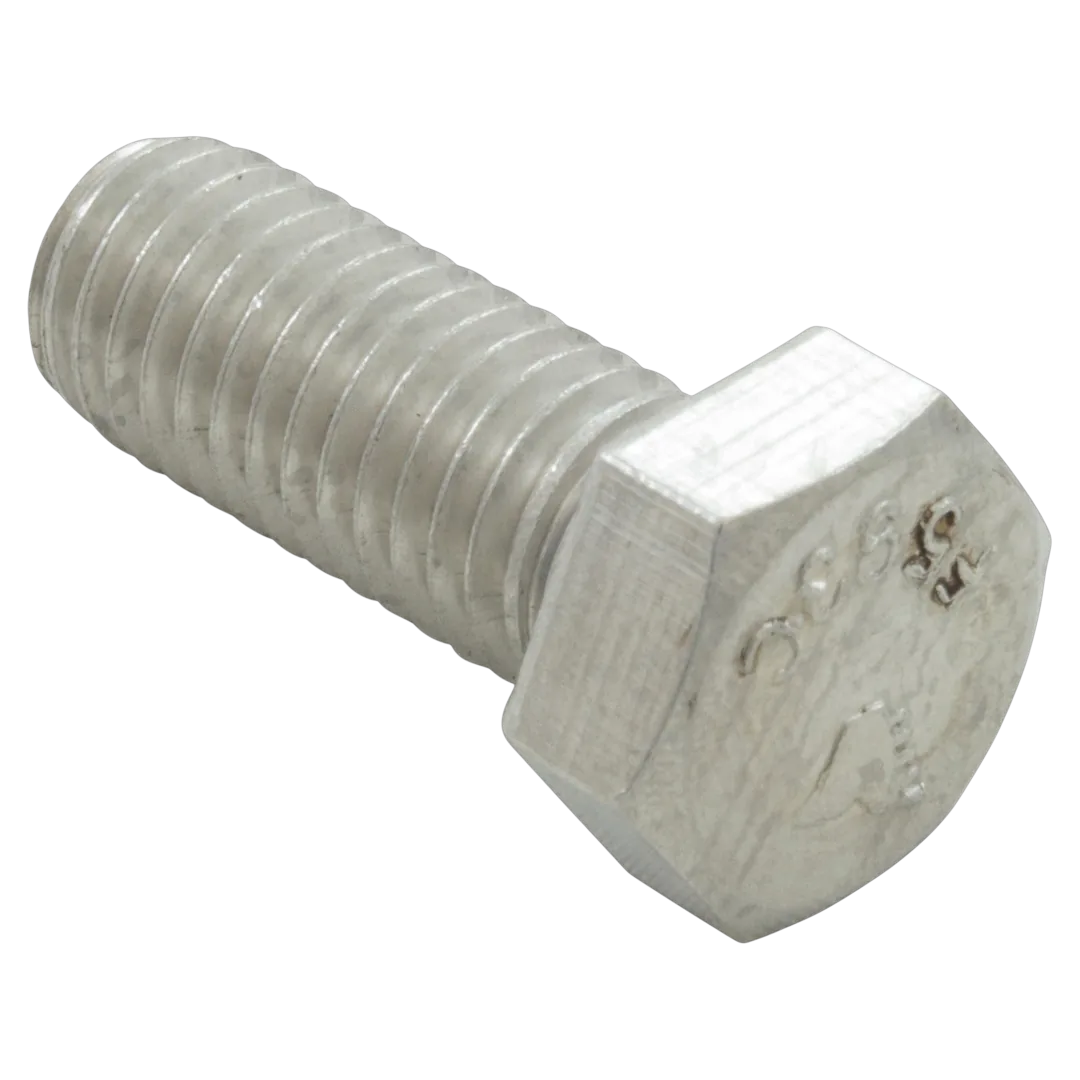 Pentair 071687 Stainless Steel Hex Bolt