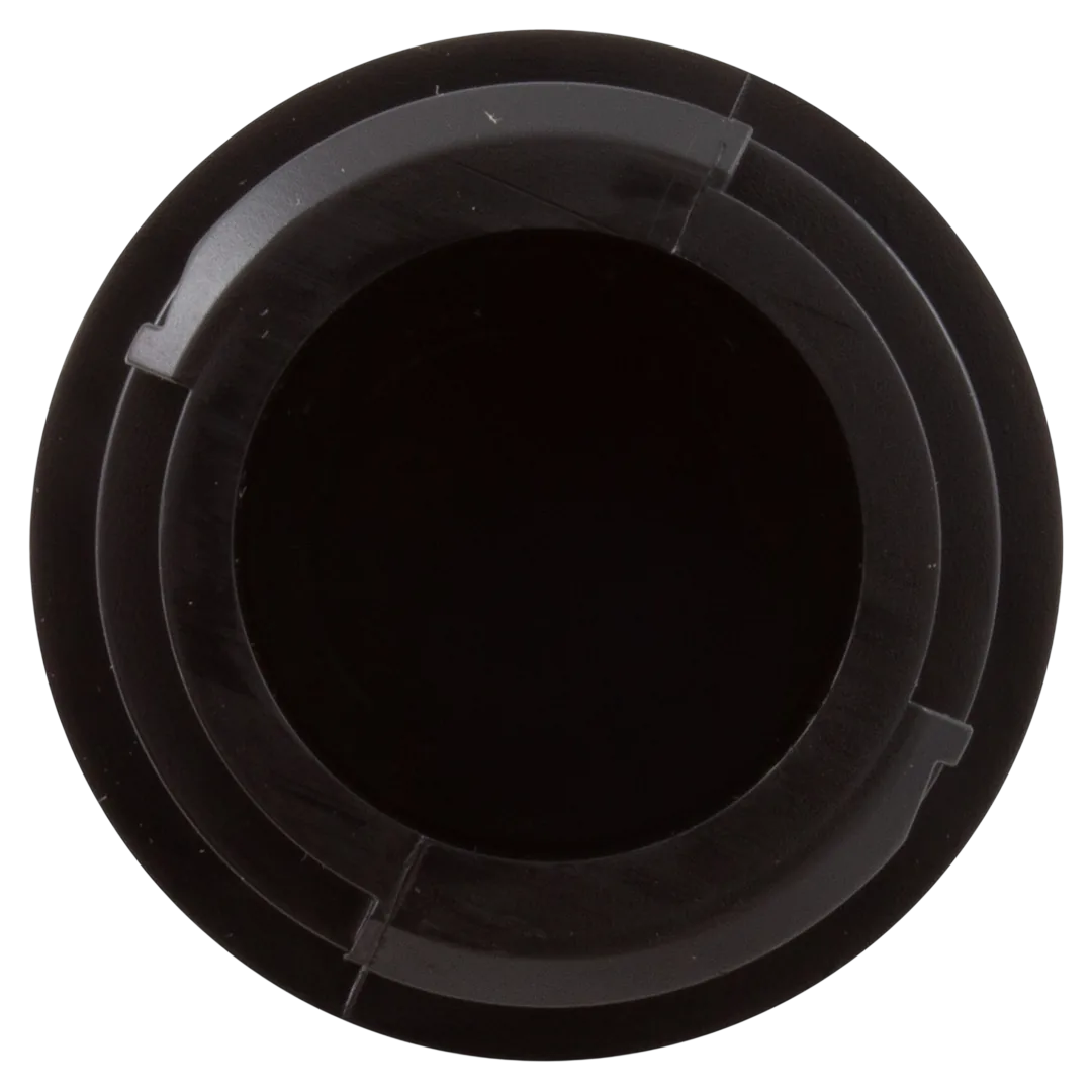Pentair Sand Dollar SD35/SD40 Filter Lateral - Back