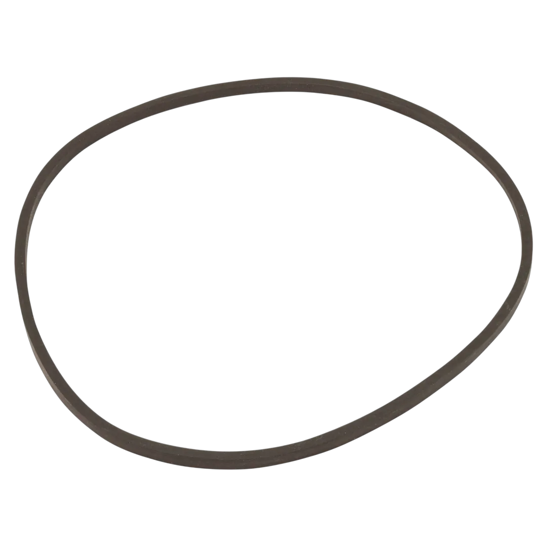 Pentair Triton C Dome Closure O-Ring