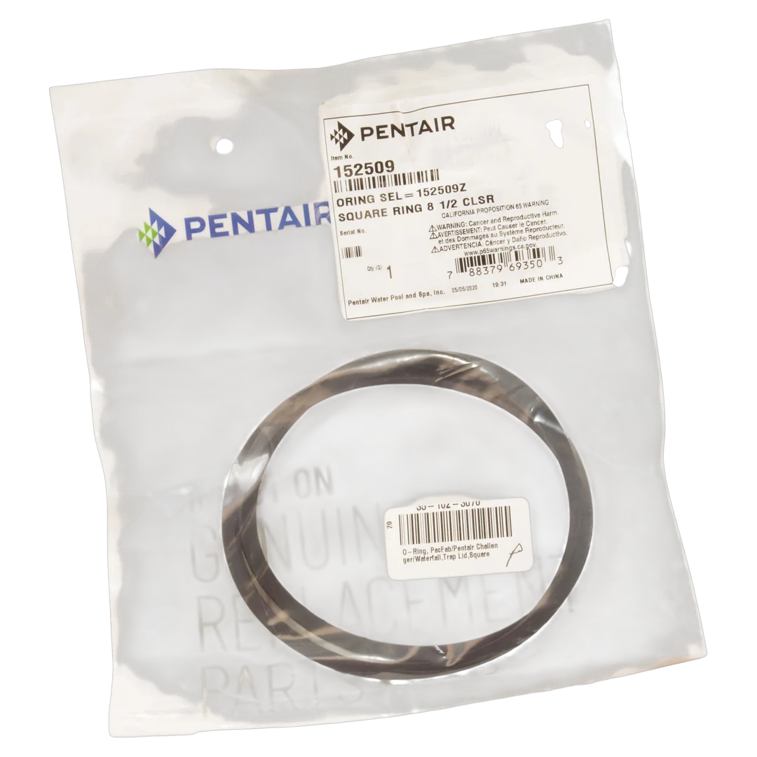 Pentair 152509Z Dome Closure O-Ring - Alt (2)