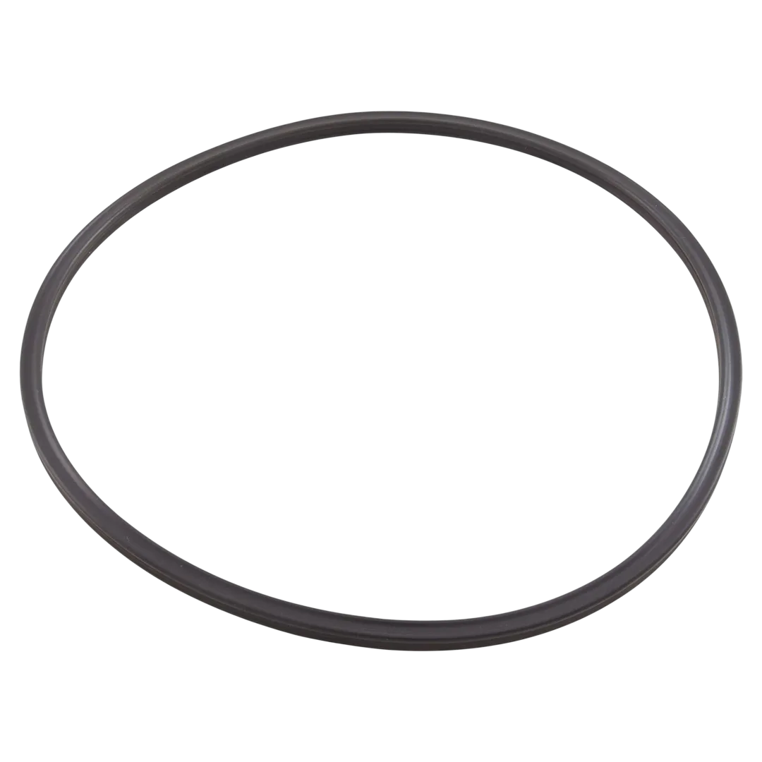 Pentair 152516Z Quad Ring - Reverse