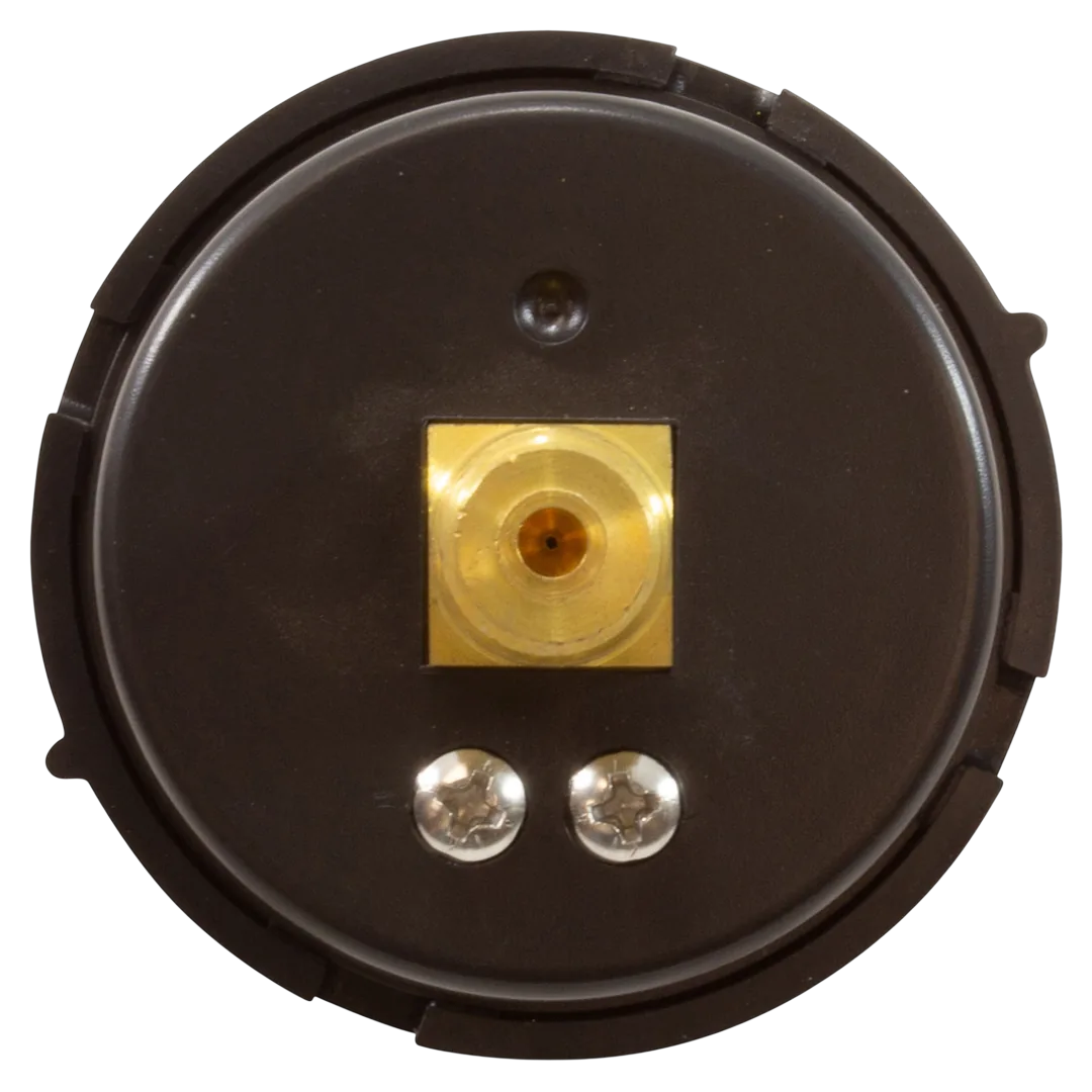 Pentair 190059Z Pressure Gauge - Back