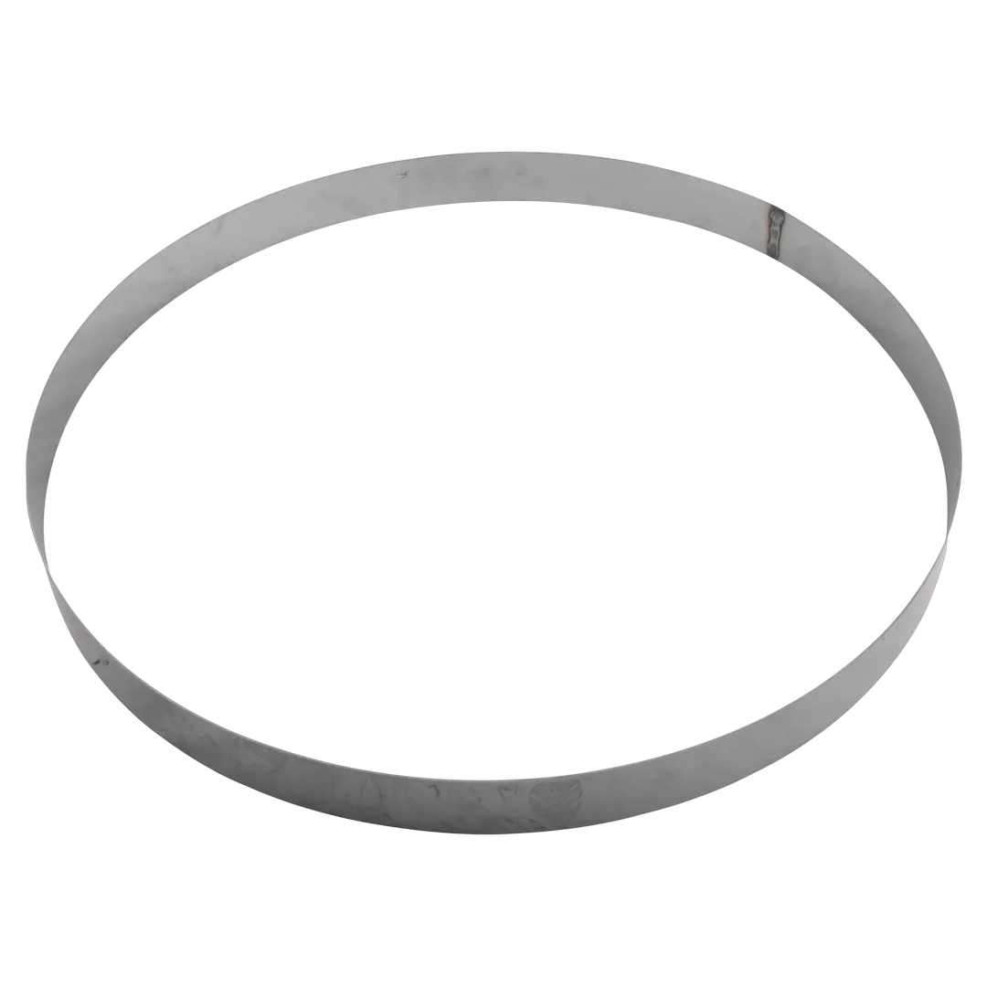 Pentair 195339 Stainless Steel Backup Ring for Filters