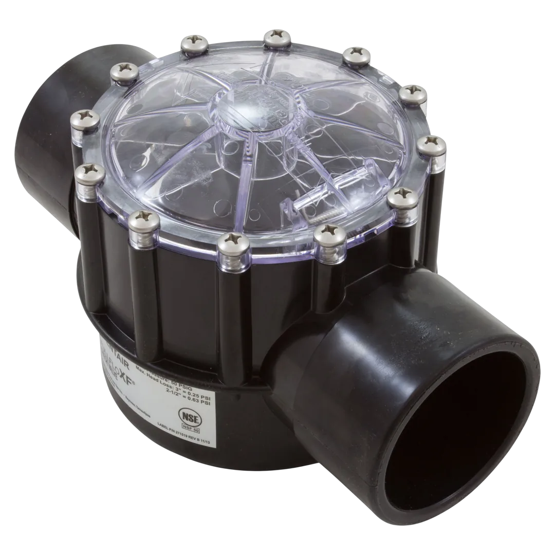 Pentair 263060 FullFloXF 2-Way CPVC Check Valve 2.5 x 3 in