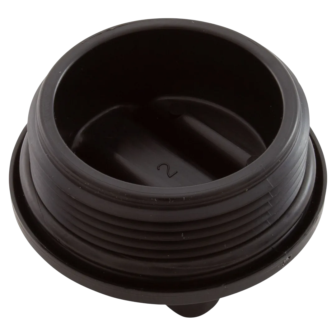 Pentair 27001-0022 Drain Plug with O-Ring - Reverse
