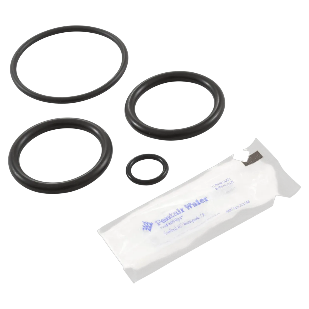 Pentair 273109 Noncorrosive Slide Valve O-Ring Kit