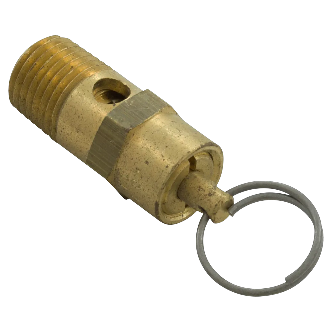 Pentair EQ Series Pressure Relief Valve 1/4" MPT - Alt (2)