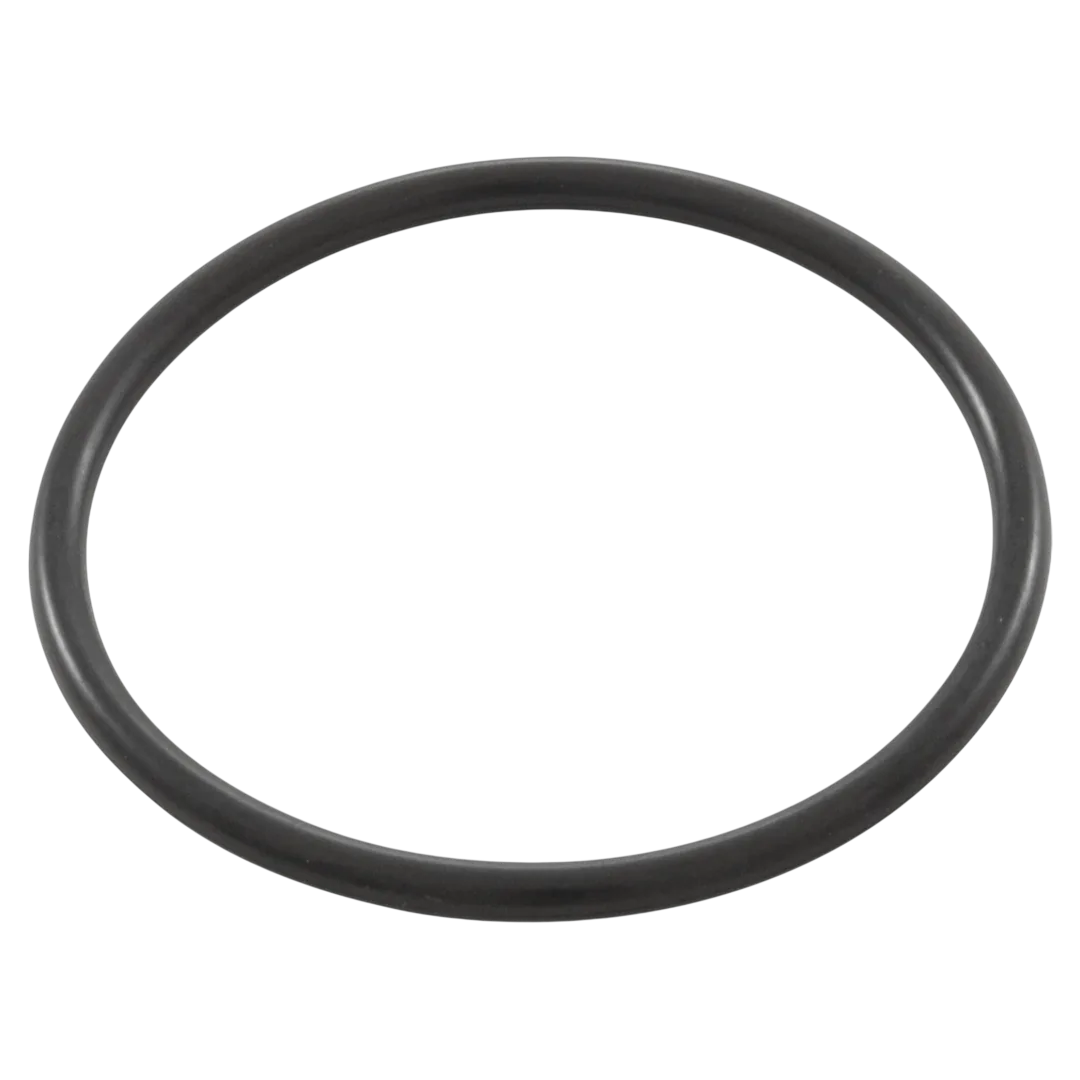 Pentair 200-830 O-Ring Adapter - Oring