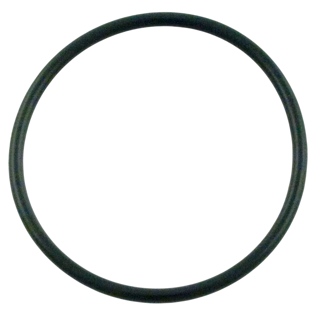 Pentair 355330 Strainer Pot Flange O-Ring Replacement