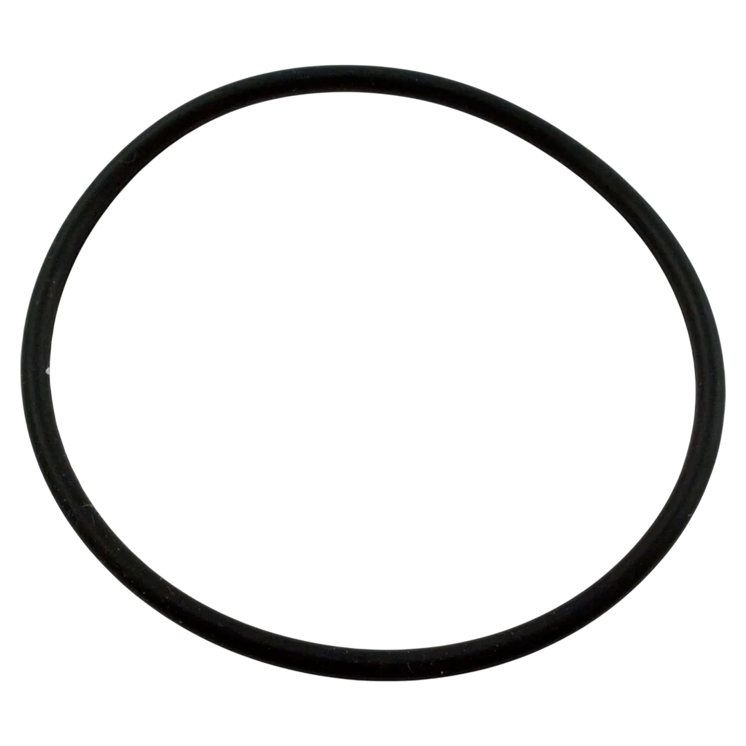 Pentair Challenger Pump Diffuser O-Ring 355331