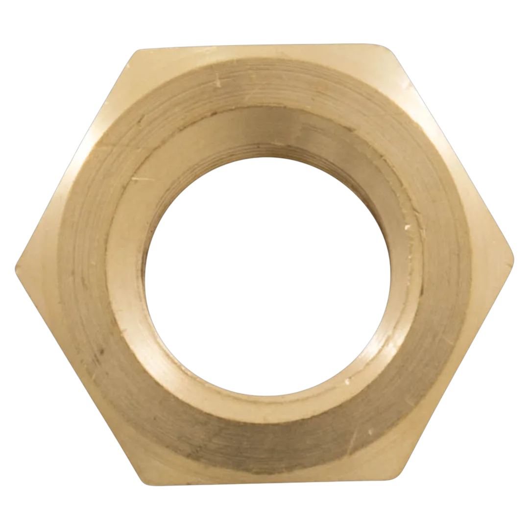 Pentair EQ-Series 356776 Brass Hex Head Nut - Back