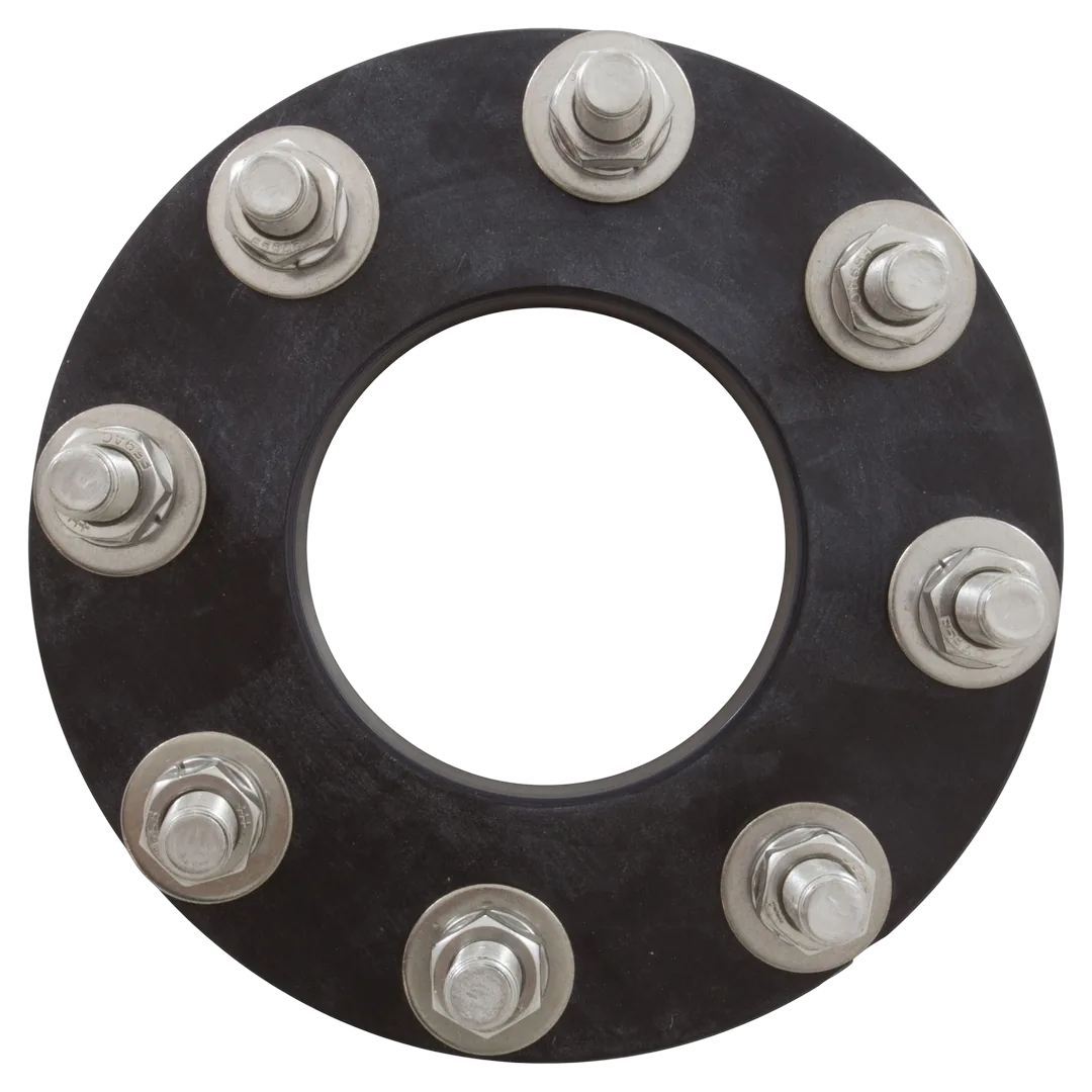 Pentair 357262 Flange Assembly Kit - Back
