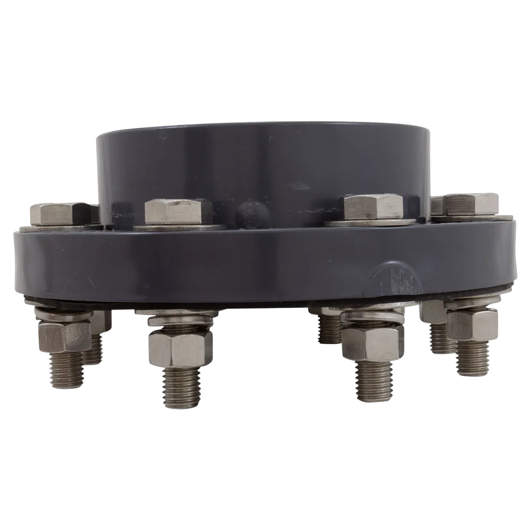 Pentair 357263 6-Inch Flange Assembly Kit - Side