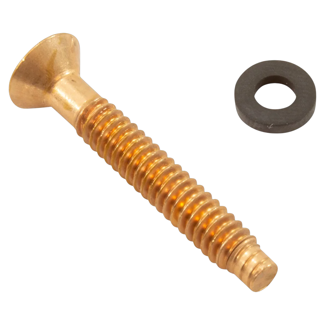 Pentair 79104800Z Brass Pilot Screw with Captive Gum Washer - Reverse