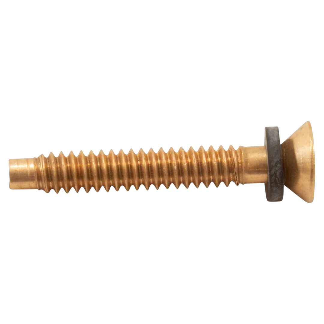 Pentair 79104800Z Brass Pilot Screw with Captive Gum Washer - Side