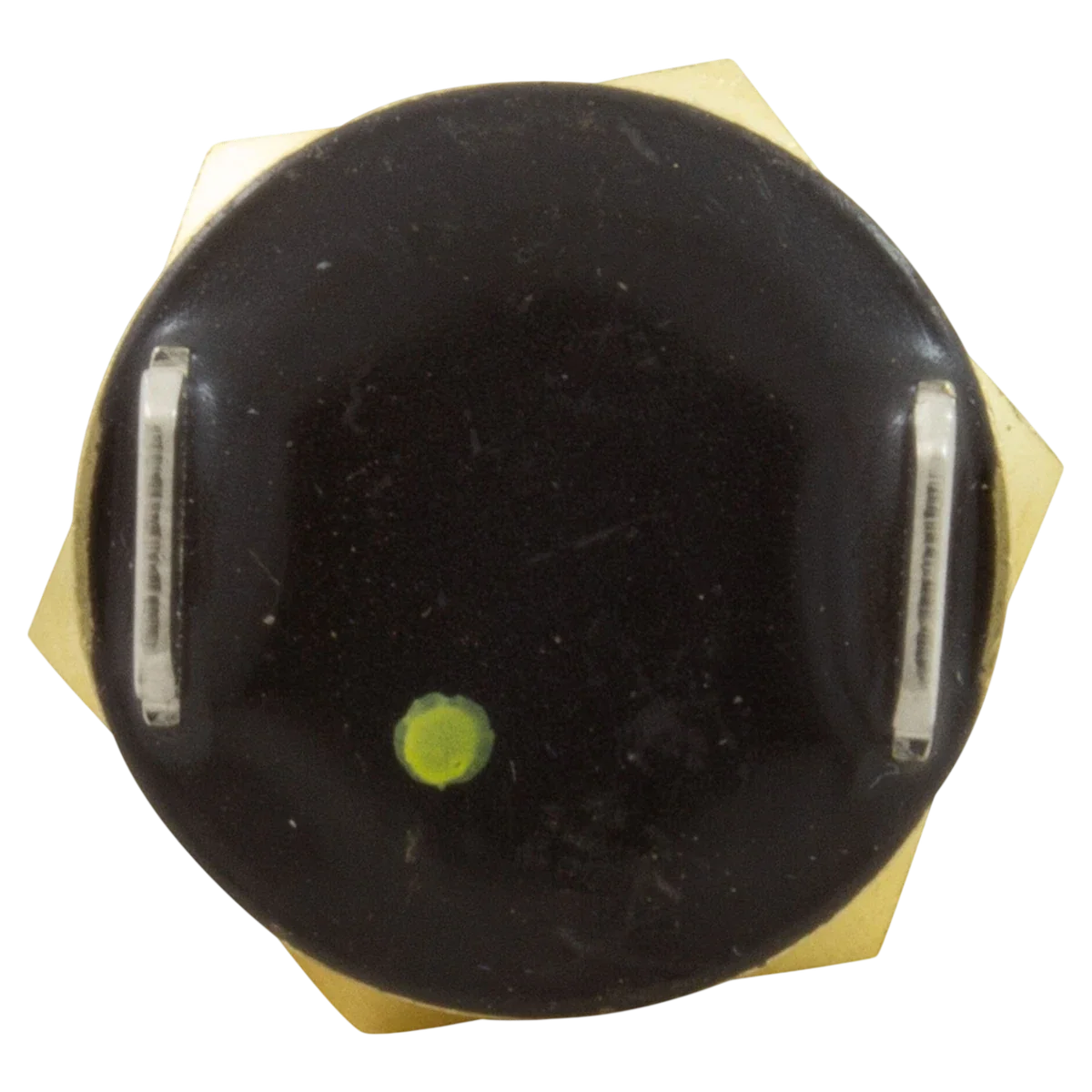 Pentair Automatic Gas Shutoff Switch AGS 140F — back view
