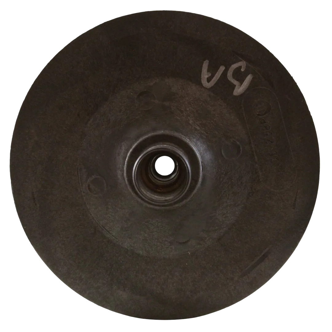 Pentair C105-238P Impeller Assembly - Back