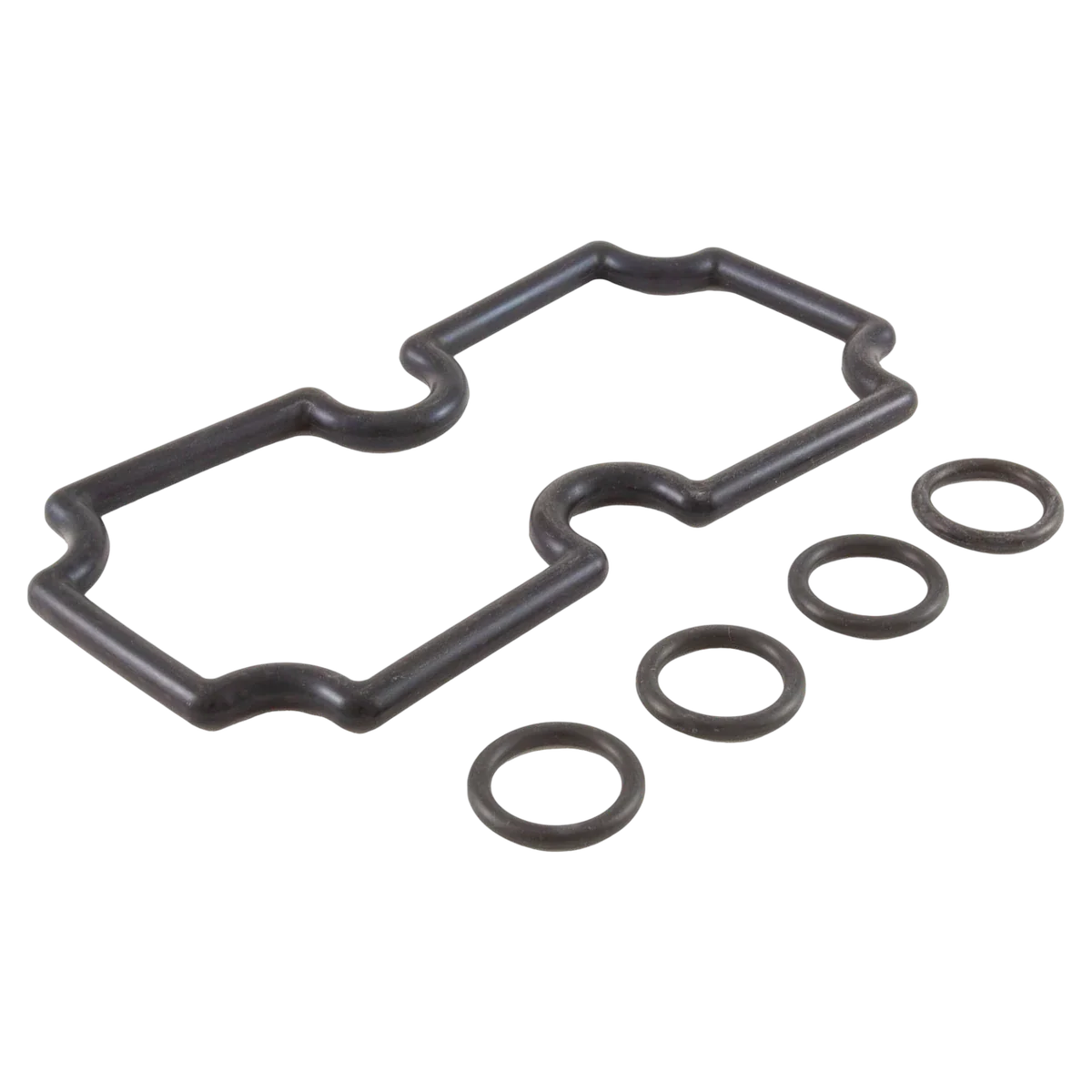 Pentair MasterTemp 125 O-Ring Kit