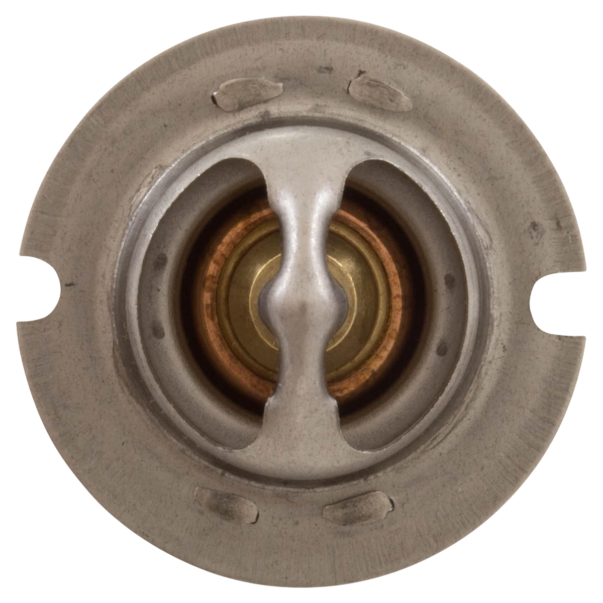 Pentair MasterTemp 125 Thermal Regulator — front view