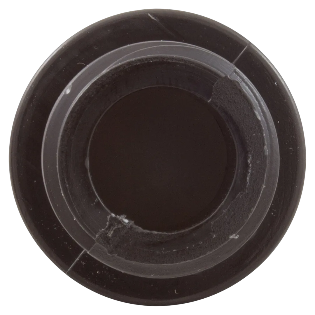 Pentair R172248Z Rainbow 320 Check Valve - Back