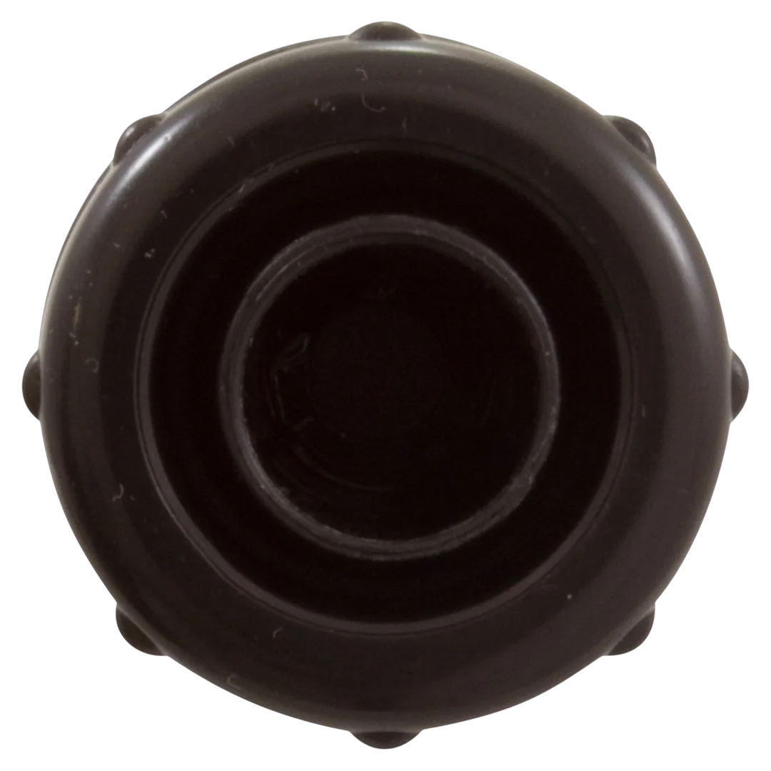 Pentair R172324 Flow Indicator Inline Check Valve - Front