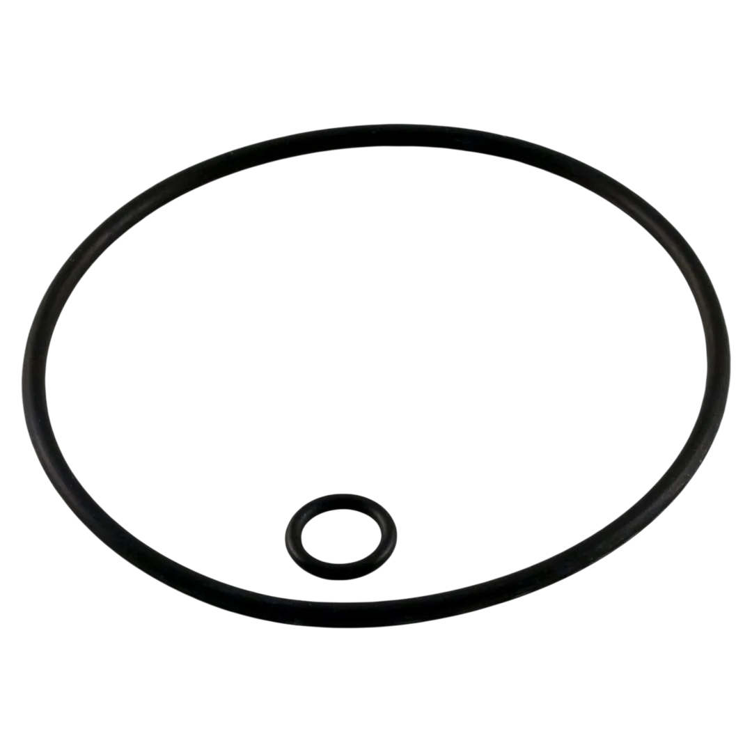 Zodiac Polaris G58 Back-Up Valve O-Ring Kit