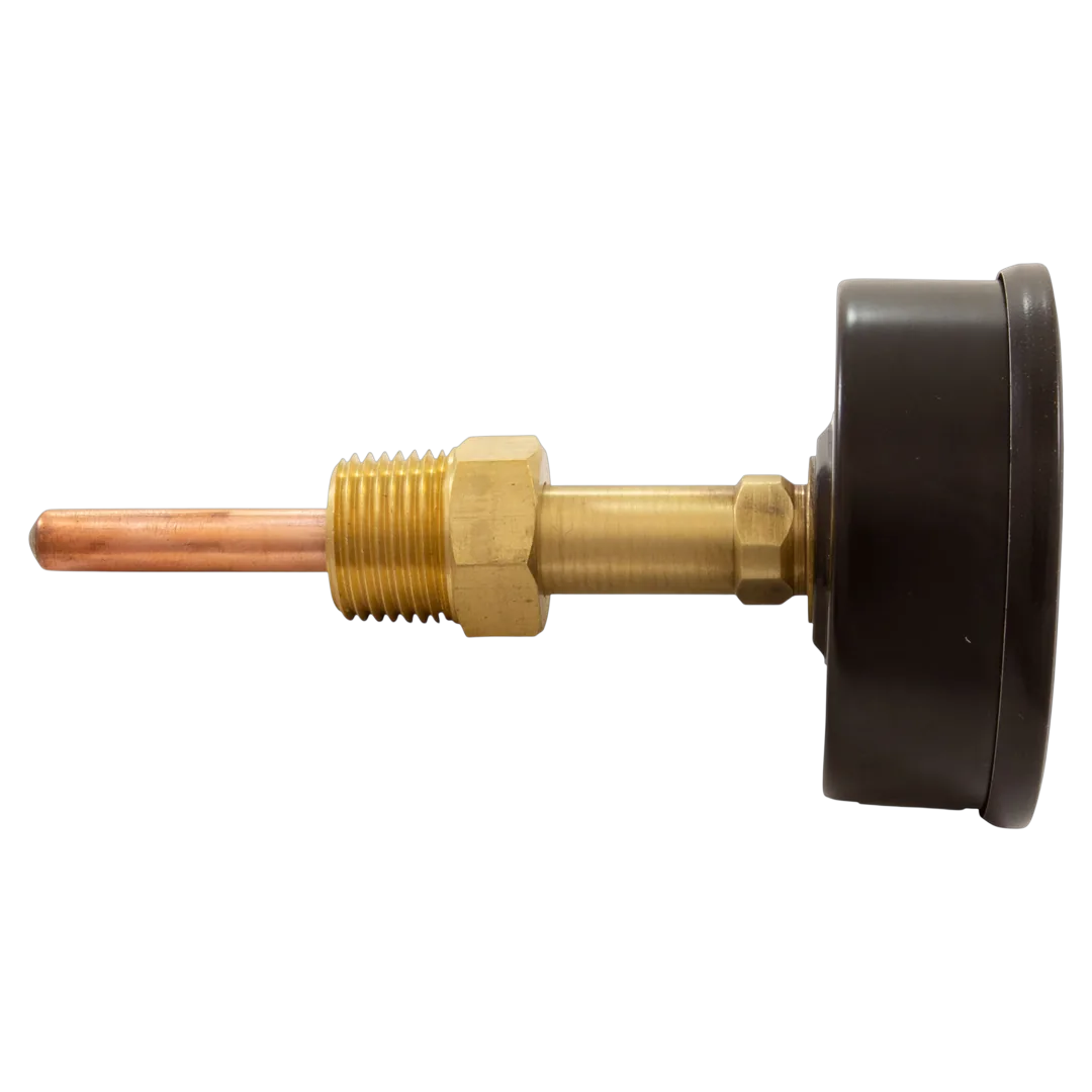 Raypak 007399F Temperature and Pressure Gauge - Side