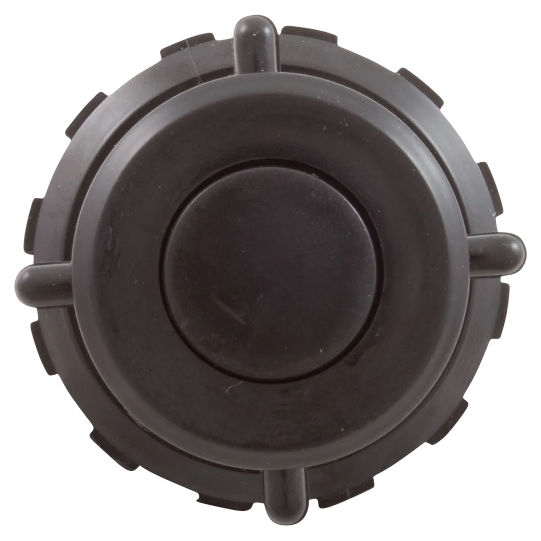 Raypak Protege RPSF Drain Plug Assembly - Front