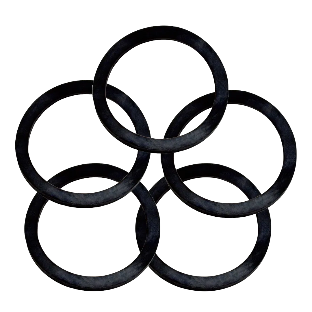 Raypak element gasket for heater repair