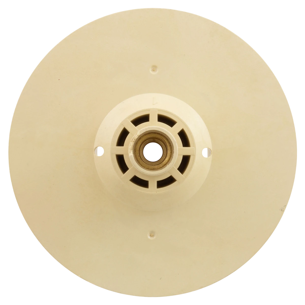 Raypak Protege RPVSP1 Pump Impeller Kit, With Screw — back view