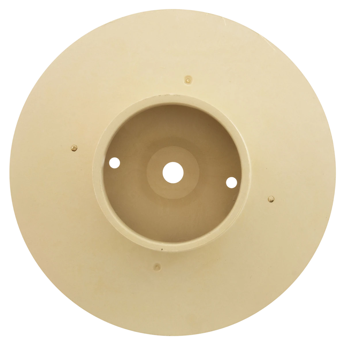 Raypak Protege RPVSP1 Pump Impeller Kit, With Screw — front view