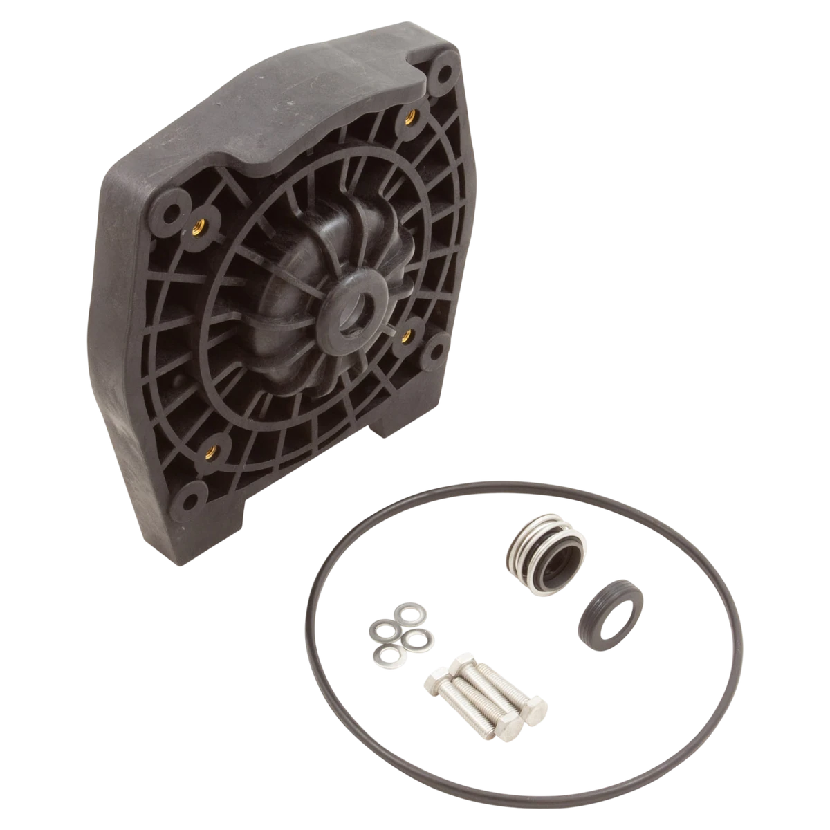 Raypak Protege RPVSP1 Seal Plate Assembly, 3/4" Flange — included parts