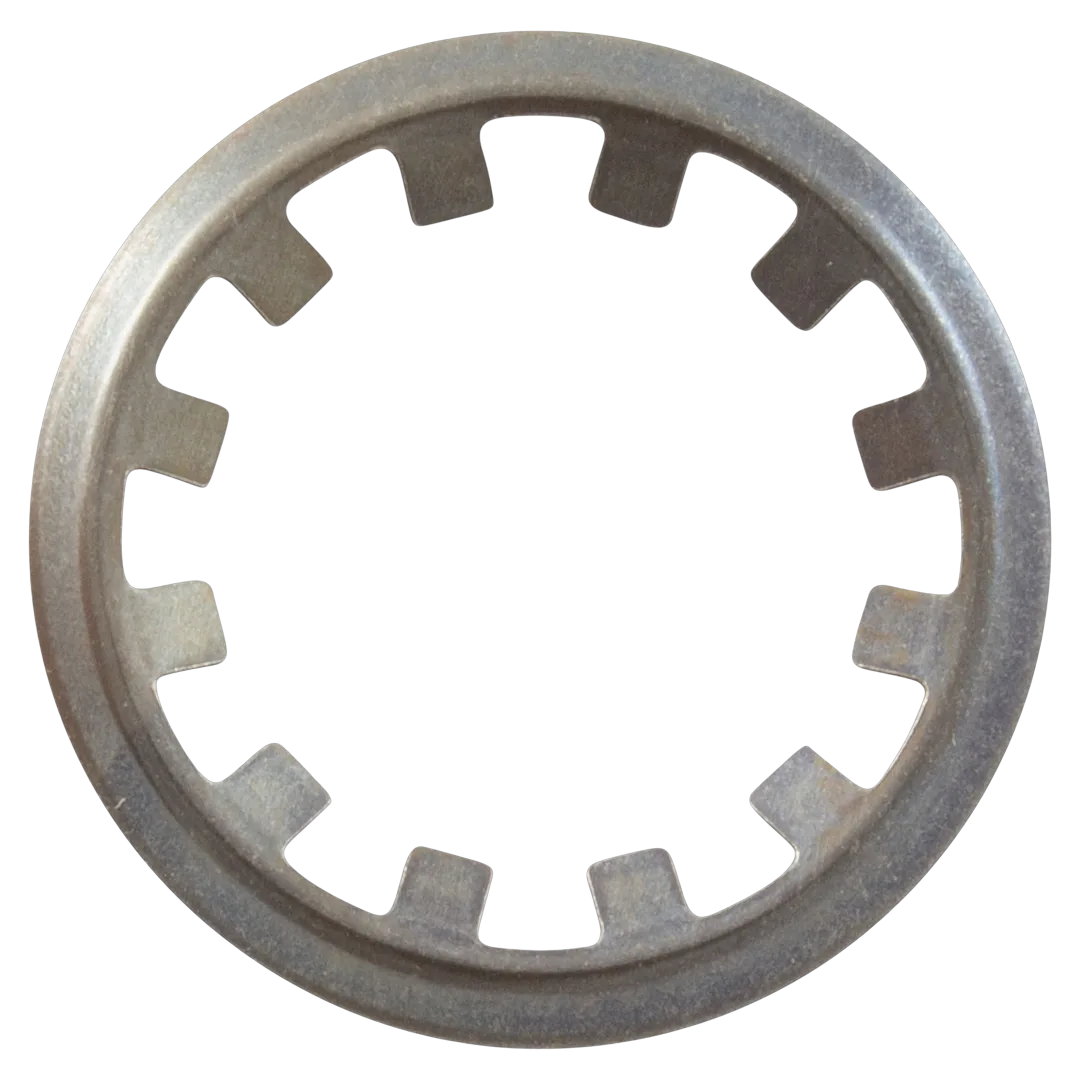 Sta-Rite System 3 Clamp Retaining Ring - Top