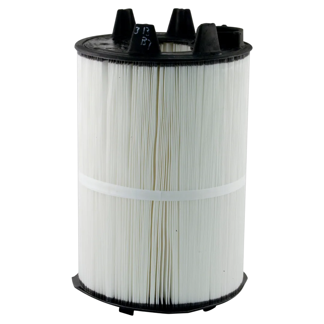Sta-Rite PLM150 Filter Cartridge Replacement
