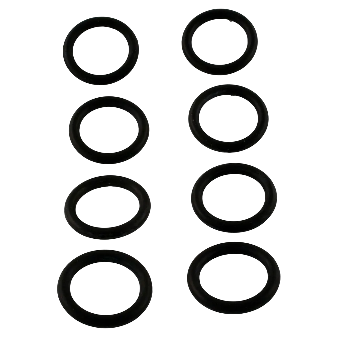 Sta-Rite 460749 O-Ring Kit for Pentair MasterTemp