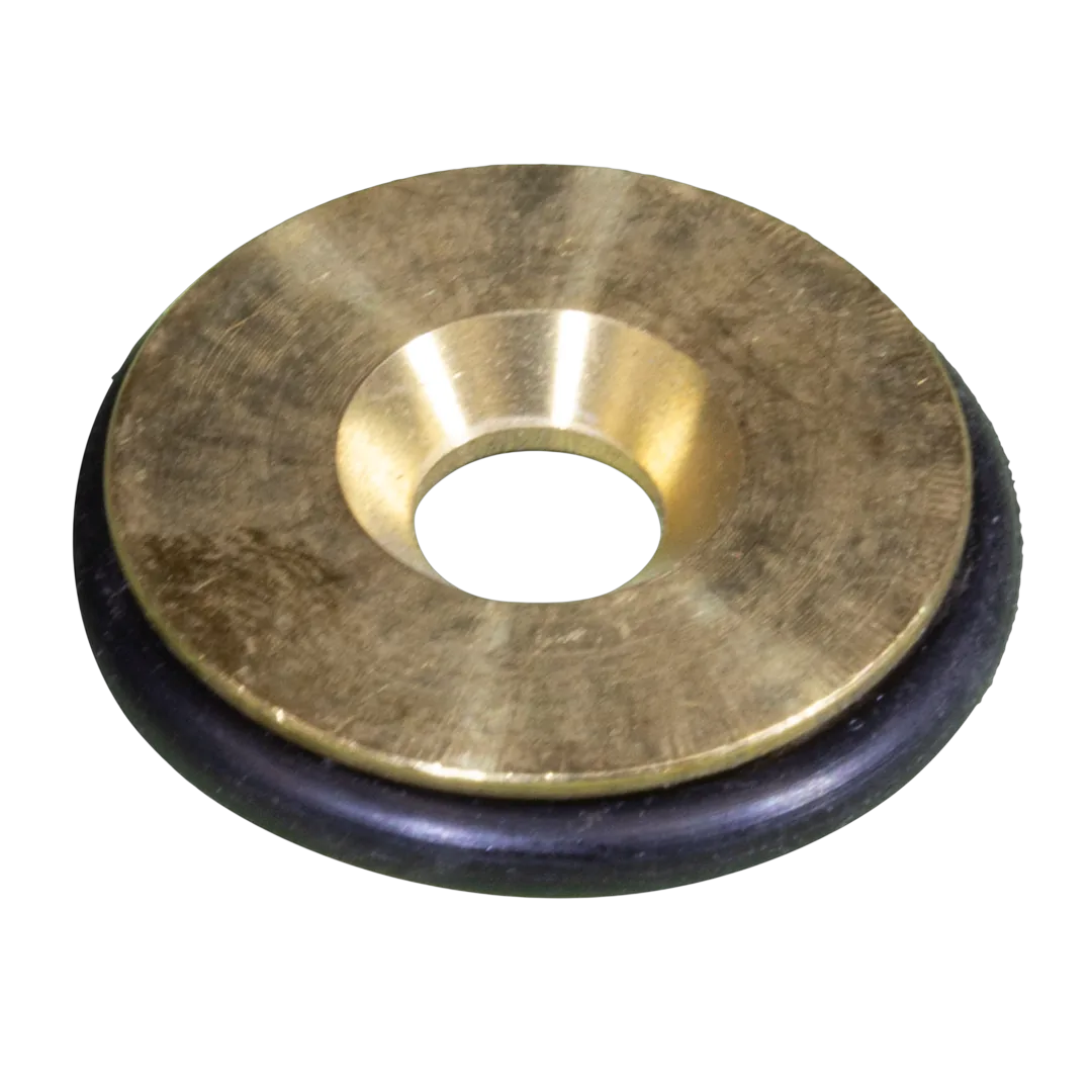 Pentair MasterTemp 300 conversion kit for heaters